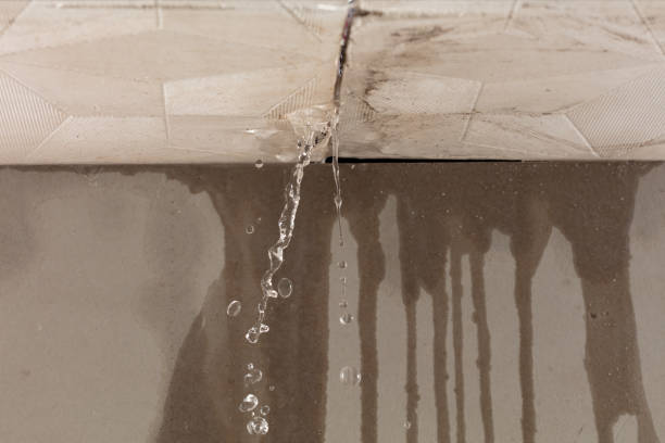 Professional Burst Pipe Cleanup technician working in Buchanan, VA
